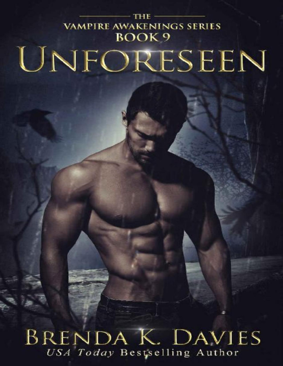 Unforeseen Vampire Awakenings Book 9 Brenda K Davies Davies