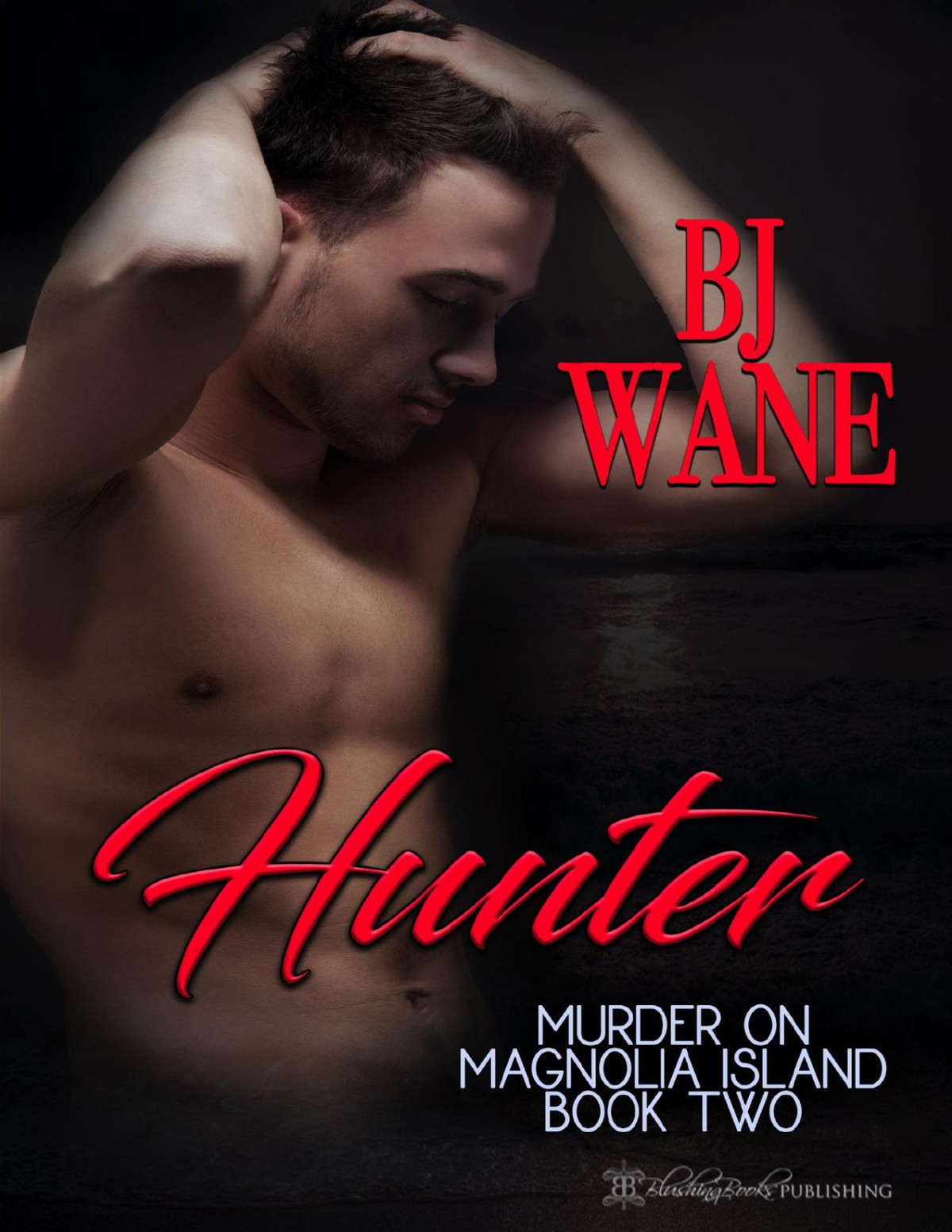 Hunter Murder On Magnolia Island Trilogy Book 2 Wane Bj