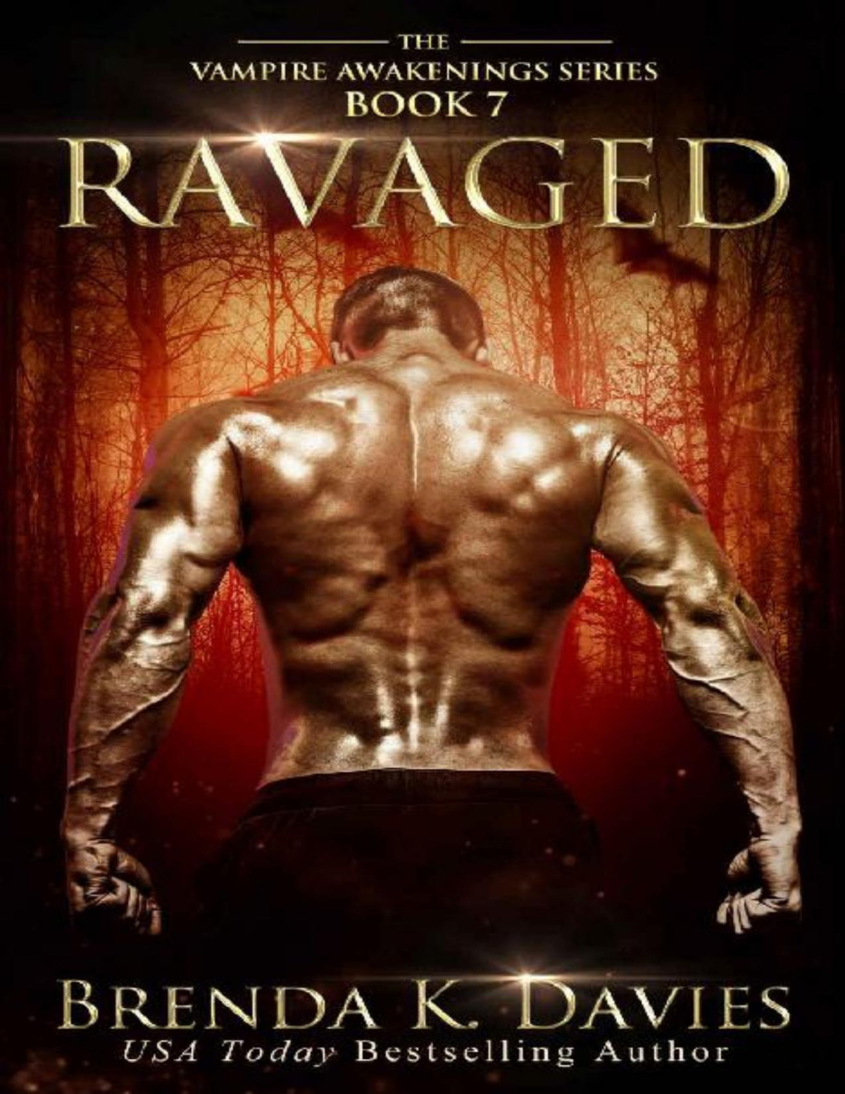 Ravaged Vampire Awakenings Book 7 Brenda K Davies Davies