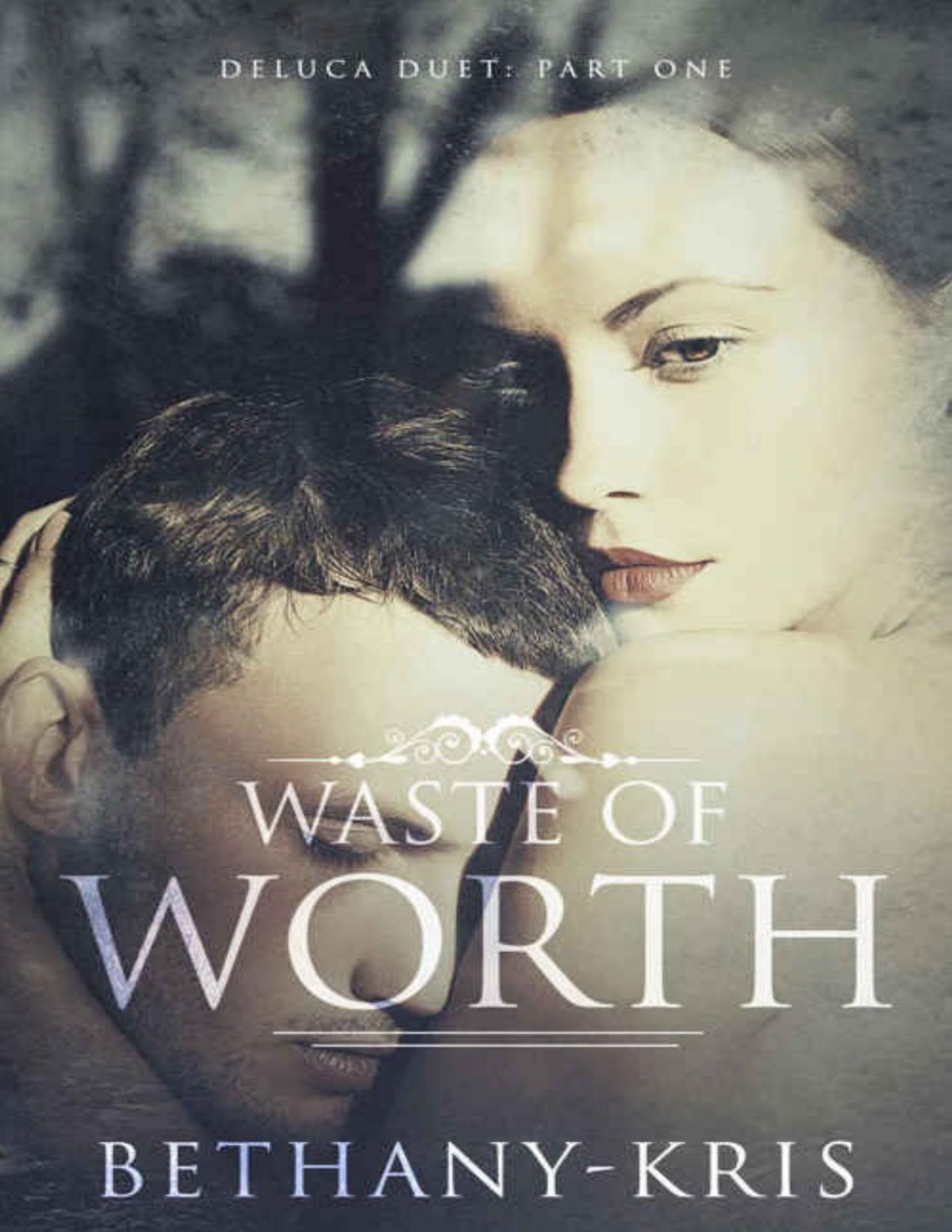 Waste Of Worth Deluca Duet Book 1 Bethanykris Bethanykris