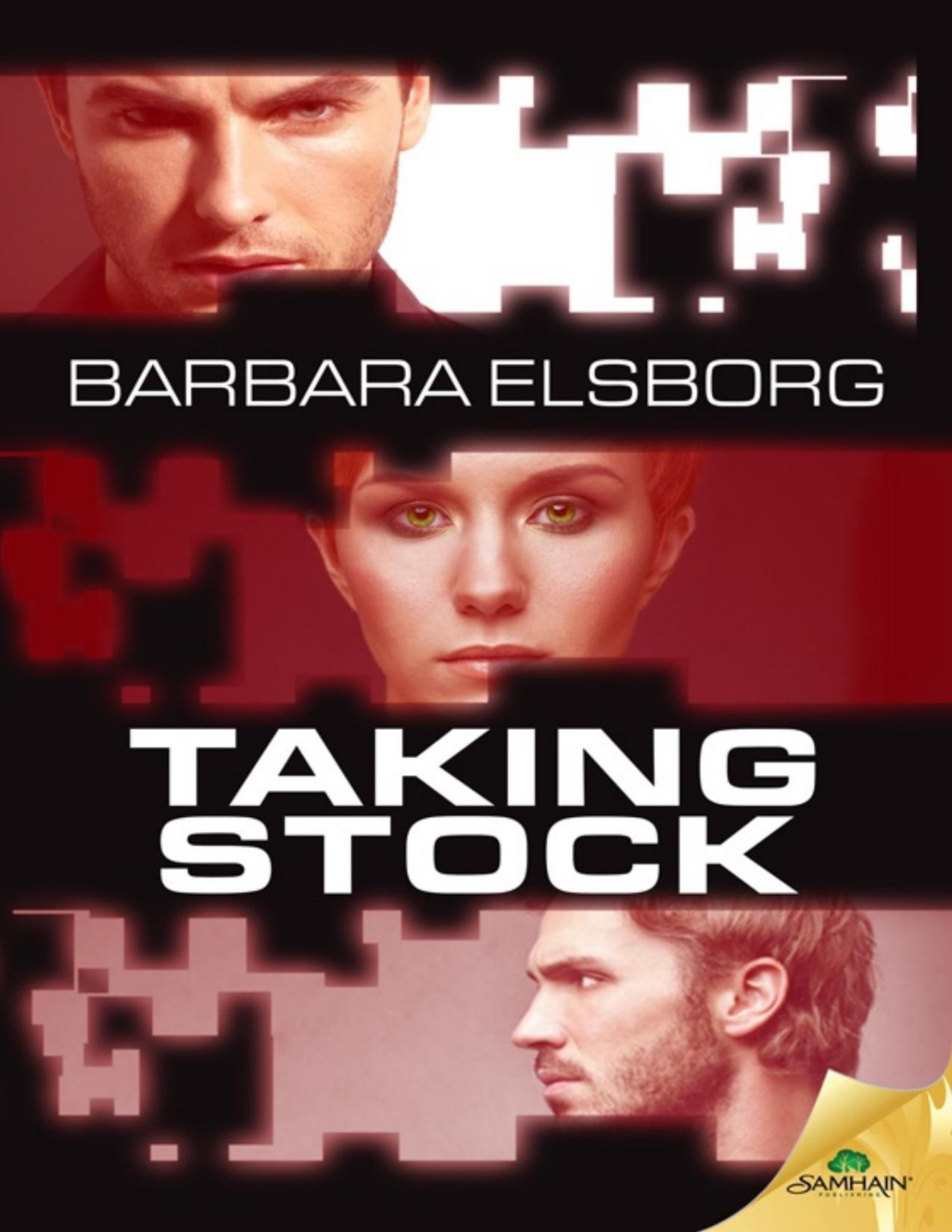 Taking Stock Barbara Elsborg
