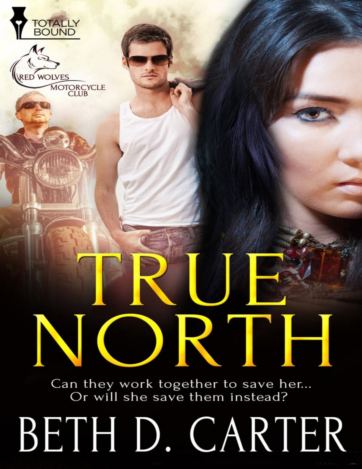 True North Beth D Carter Carter Beth D