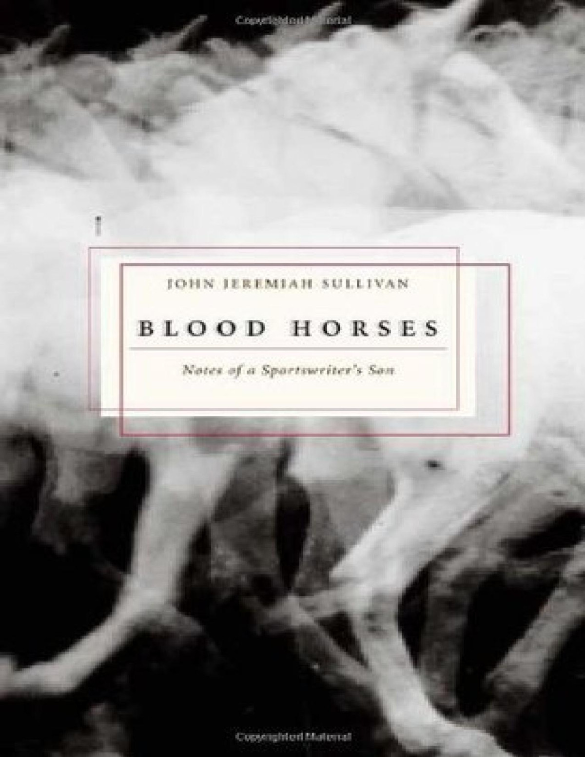 Blood Horses John Jeremiah Sullivan