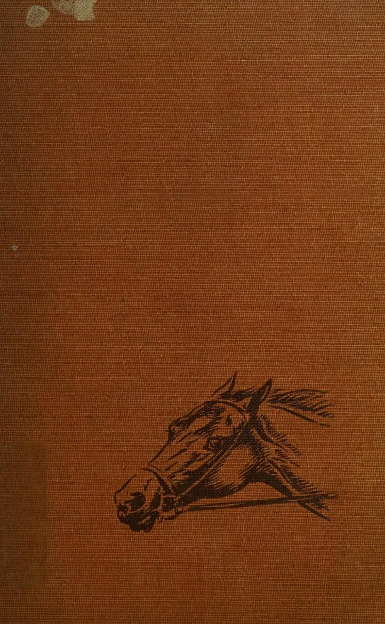 Old Bones The Wonder Horse Mildred Mastin Pace