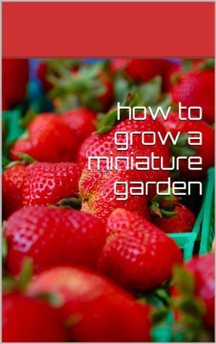 How To Grow A Miniature Garden Chrisblakebee Sting Blakebee Sting