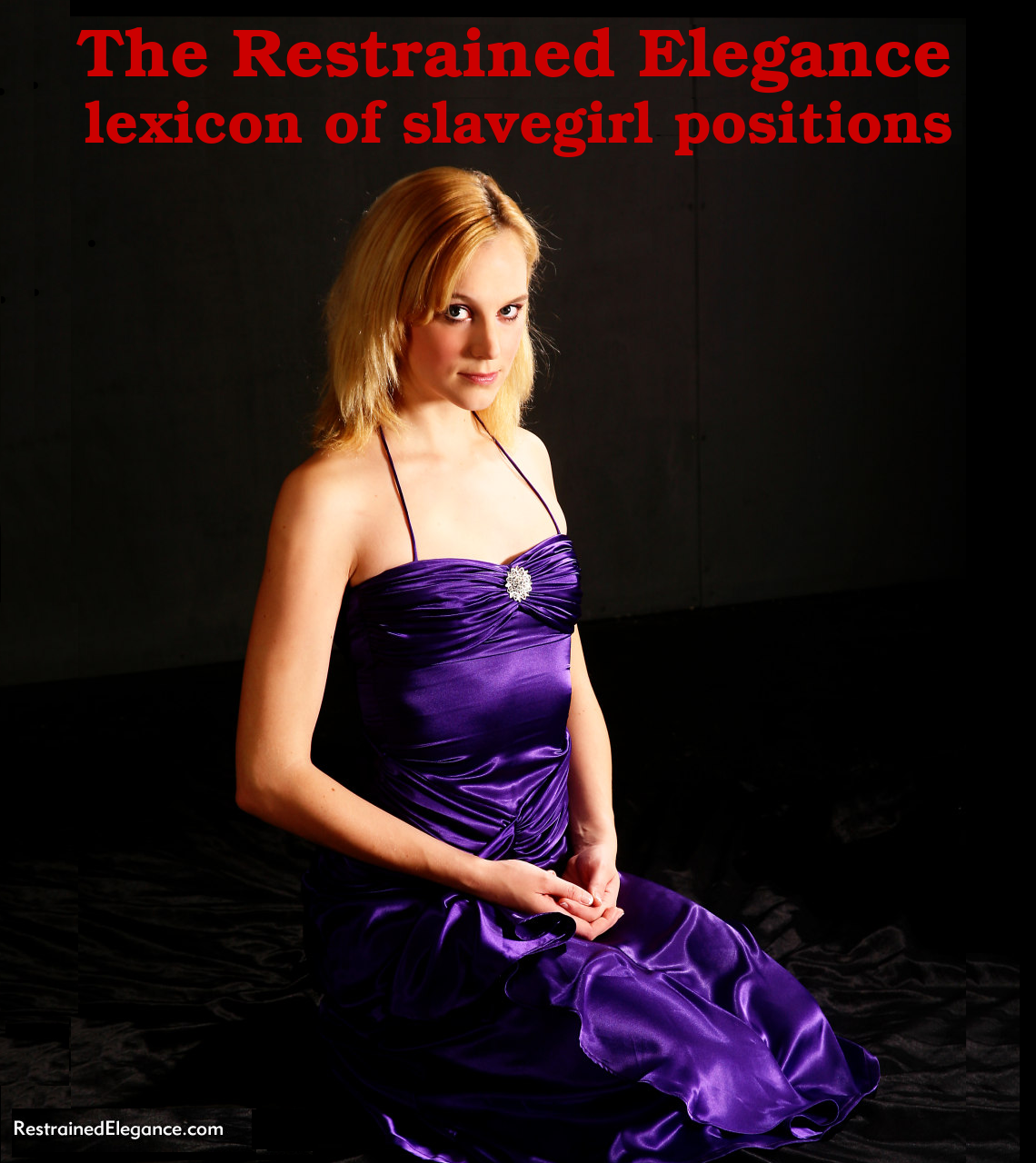 The Restrained Elegance Lexicon Of Slavegirl Positions 1st Edition Hywel Ariel