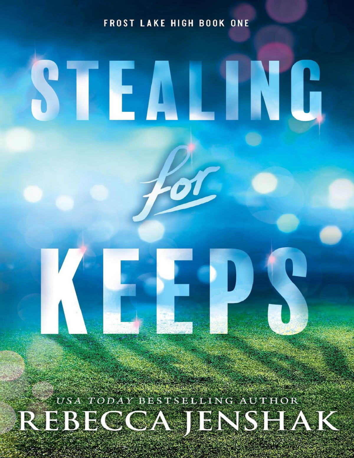 Stealing For Keeps Frost Lake High Rebecca Jenshak