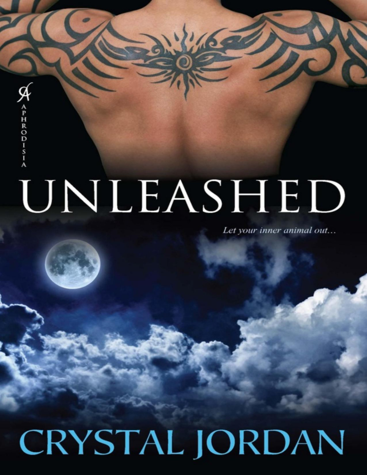 Unleashed Crystal Jordan Jordan Crystal