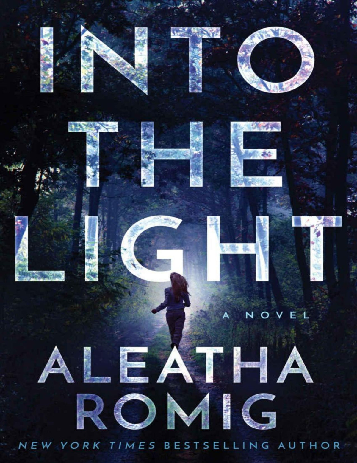 Into The Light Aleatha Romig Romig Aleatha