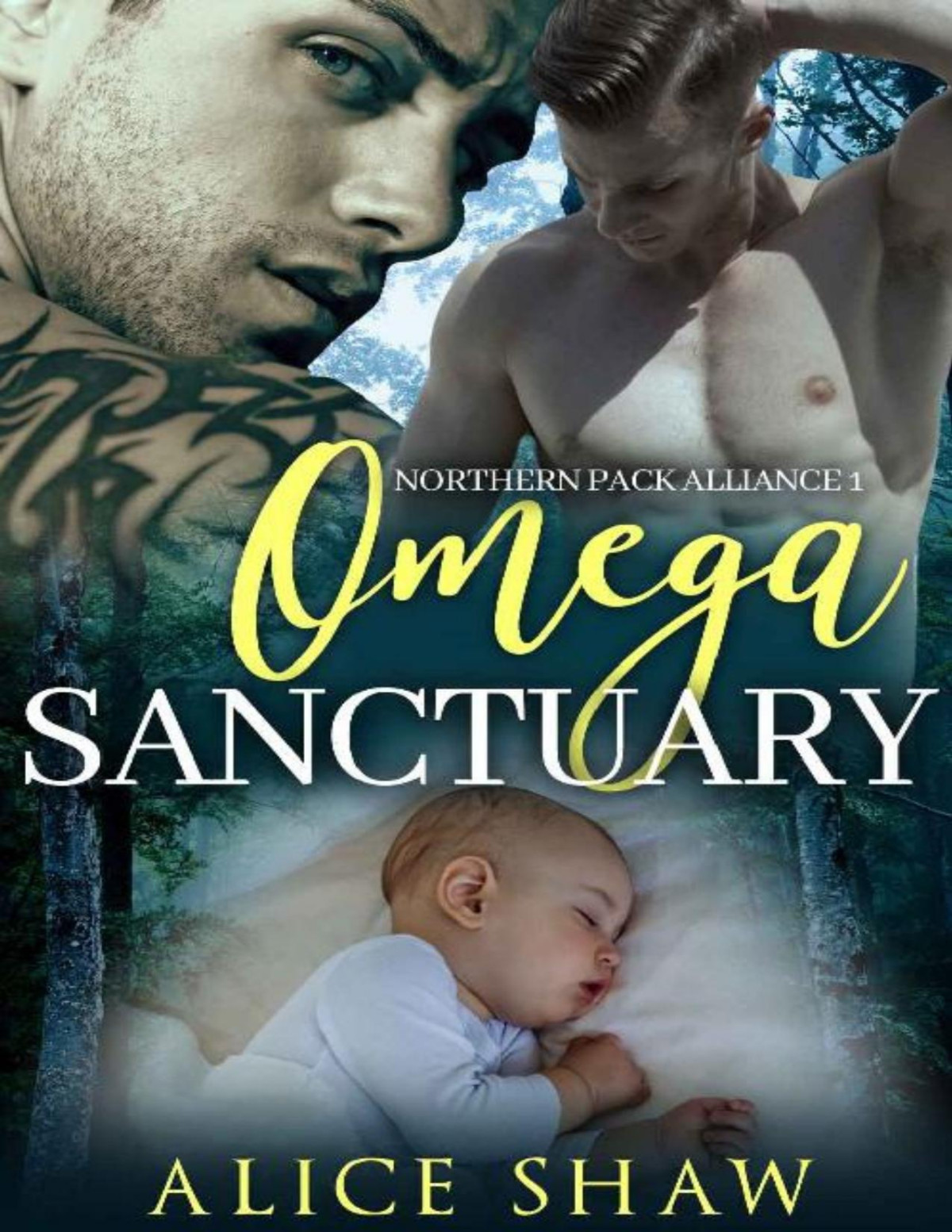 Omega Sanctuary An Mm Mpreg Romance Northern Pack Alliance Book 1 Alice Shaw Shaw