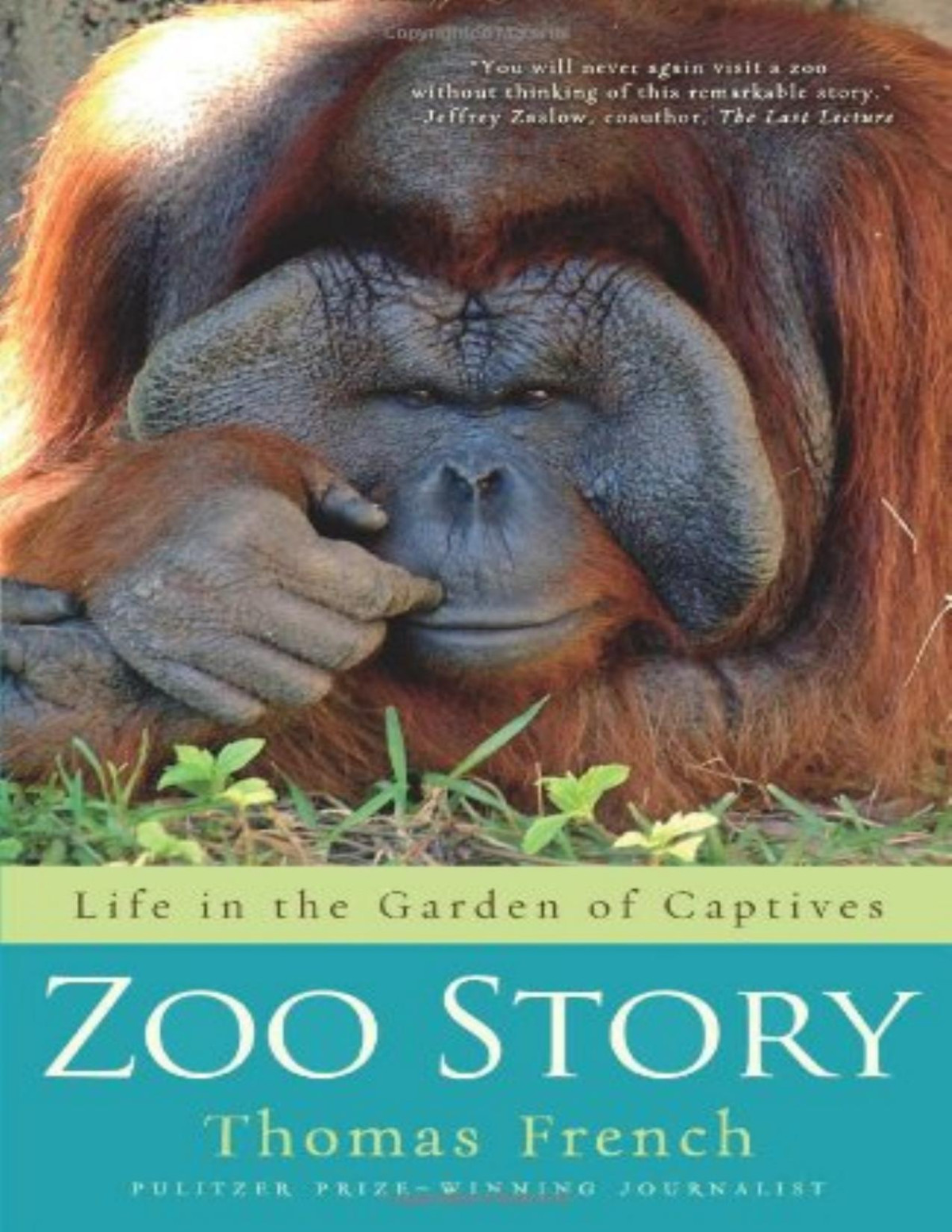 Zoo Story Life In The Garden Of Captives Thomas French French