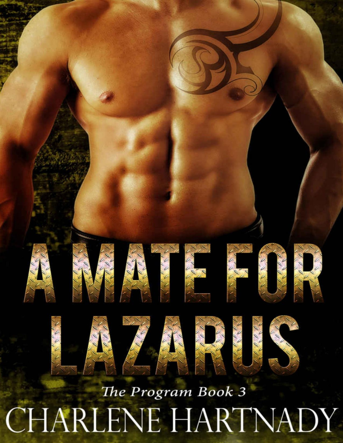 A Mate For Lazarus Charlene Hartnady Hartnady Charlene
