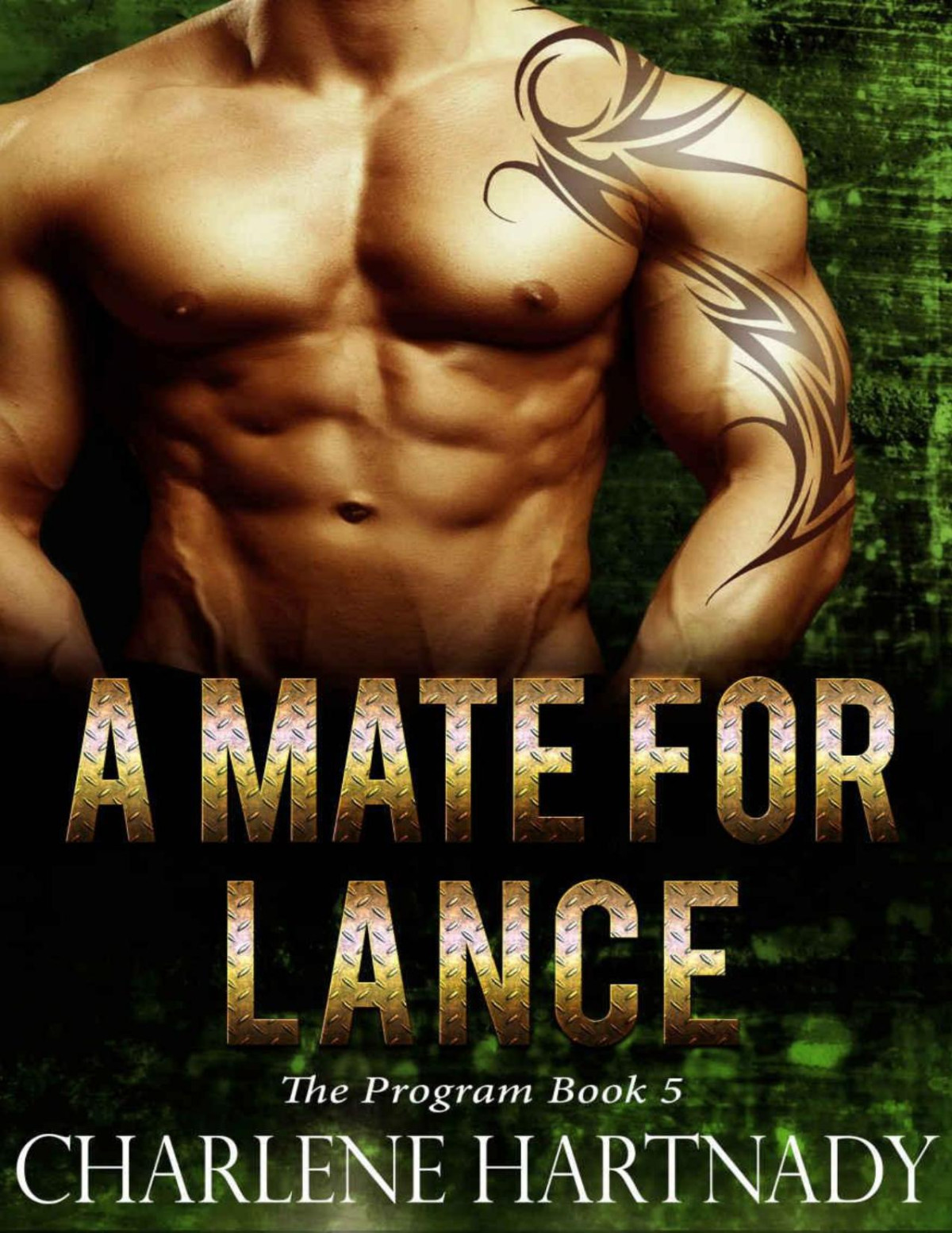 A Mate For Lance Charlene Hartnady Hartnady Charlene