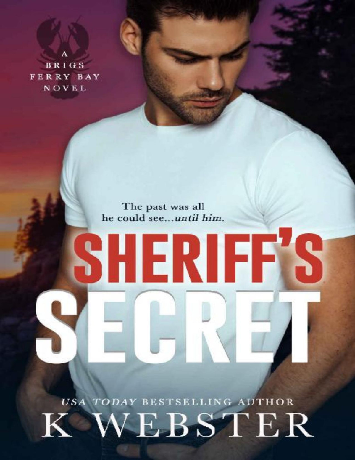 Sheriffs Secret Brigs Ferry Bay Book 1 K Webster Webster