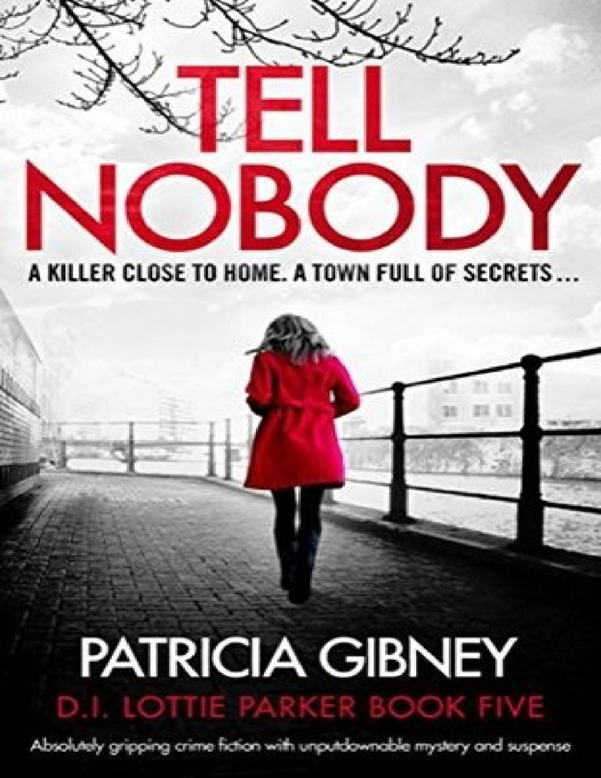 Tell Nobody Detective Lottie Parker Book 5 Patricia Gibney