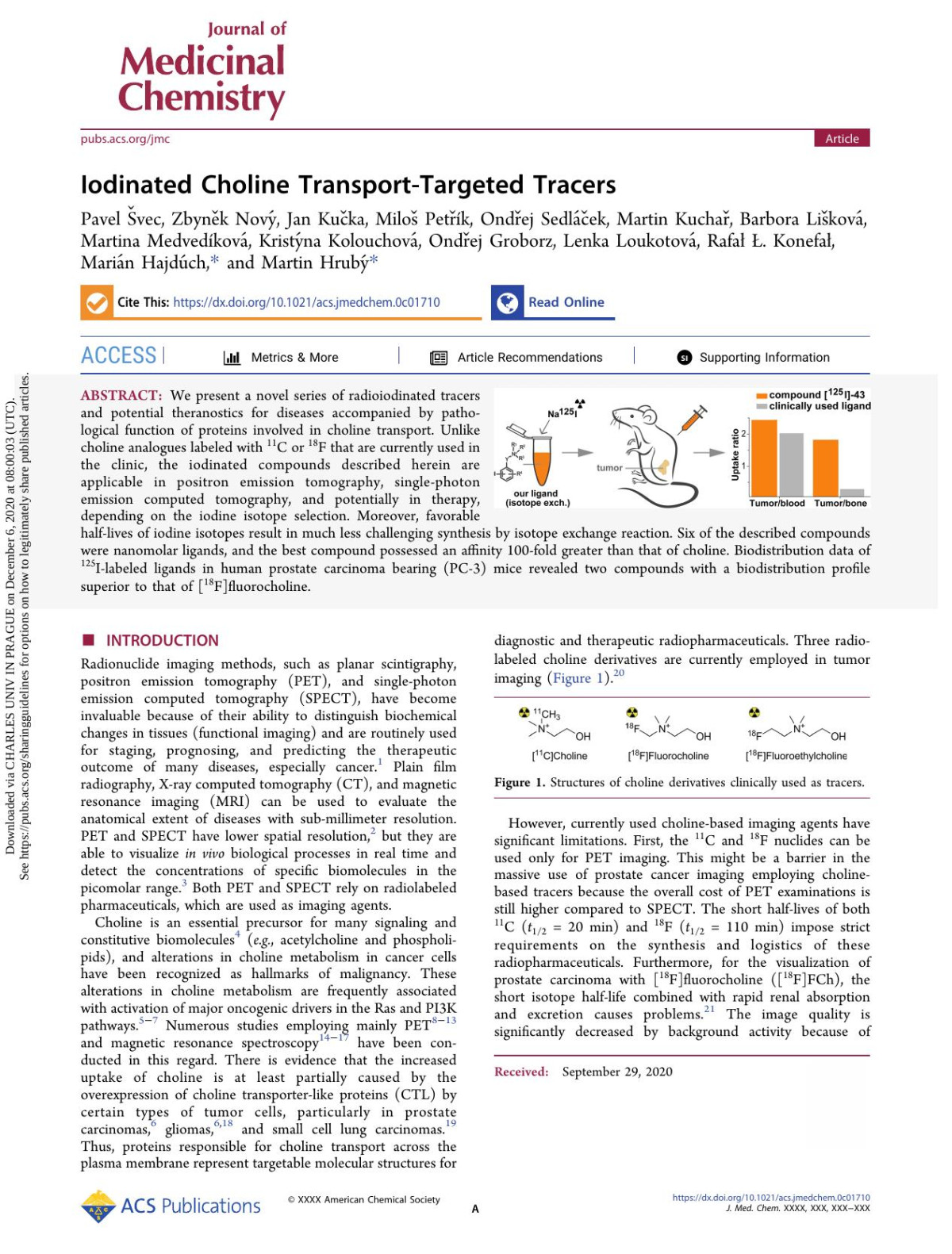 Iodinated Choline Transporttargeted Tracers Pavel Vec Zbynk Nov