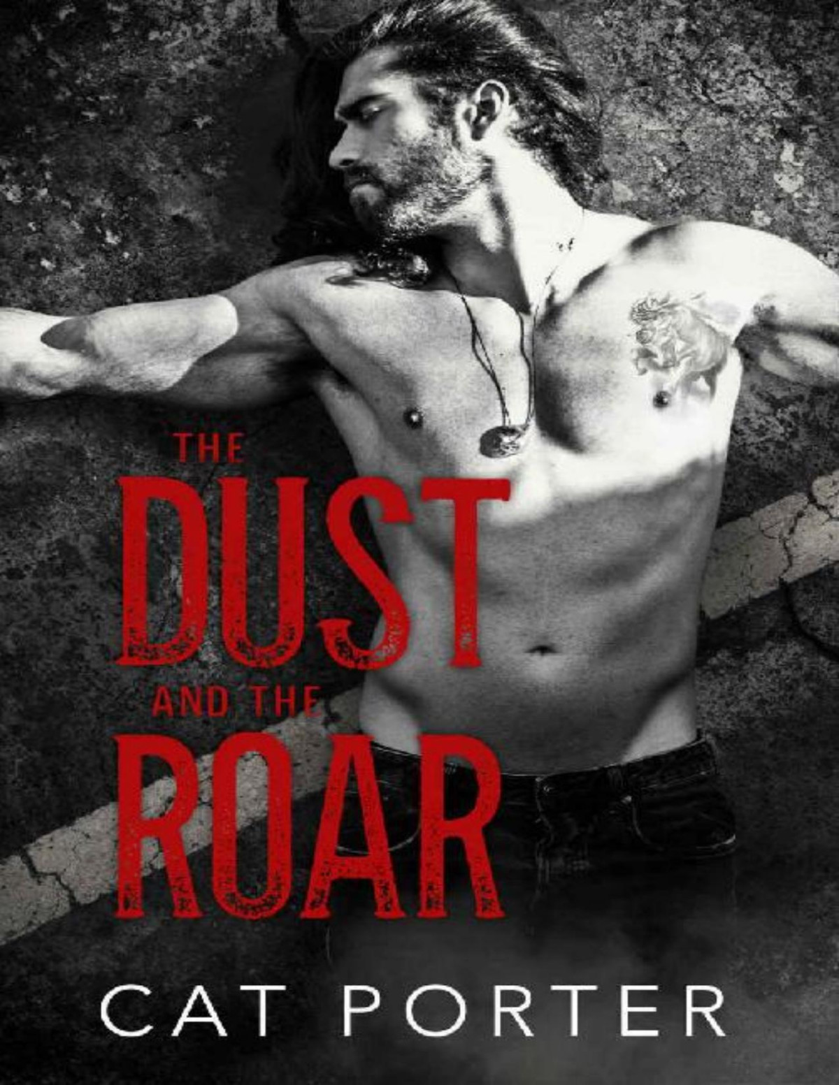 The Dust And The Roar Cat Porter Porter Cat