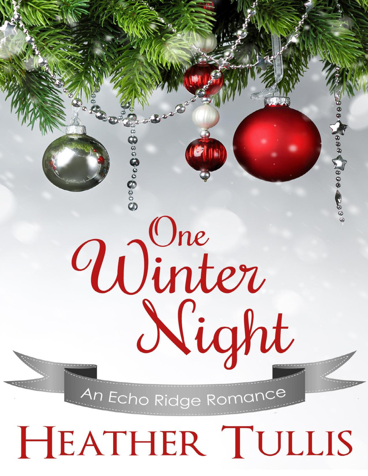 One Winter Night Echo Ridge Romances Book 1 Tullis Heather