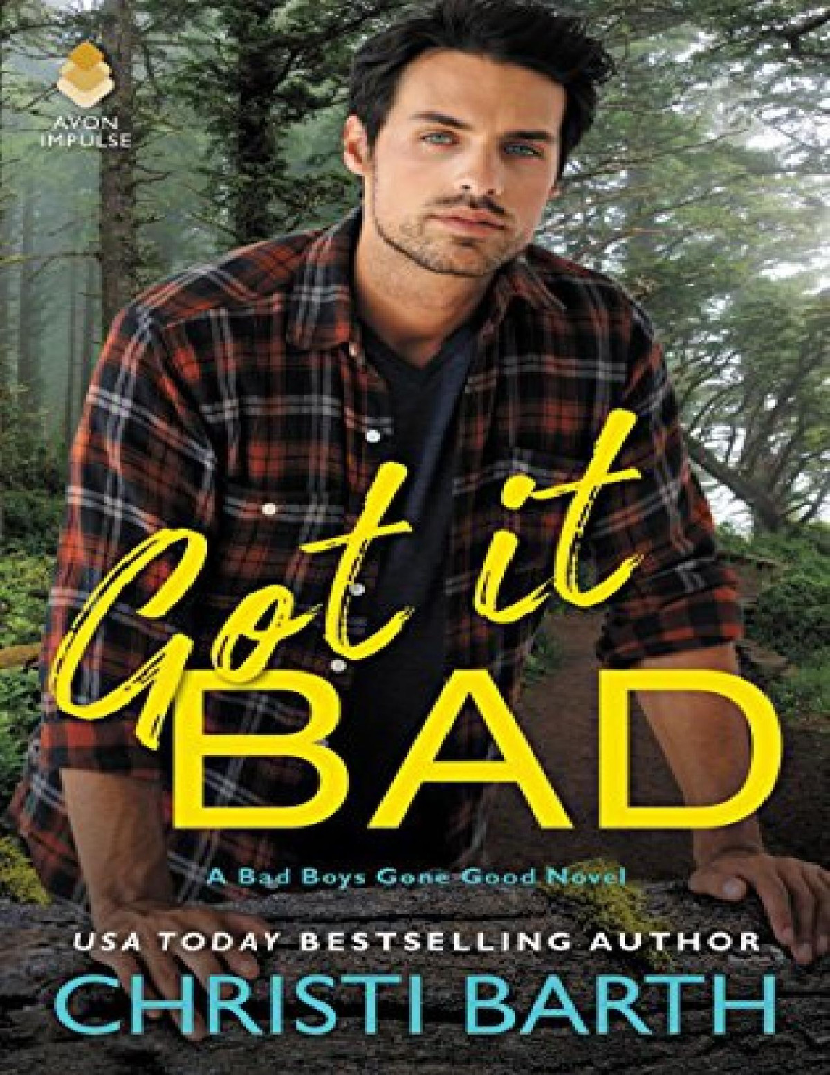 Got It Bad Bad Boys Gone Good 3 Christi Barth Barth Christi