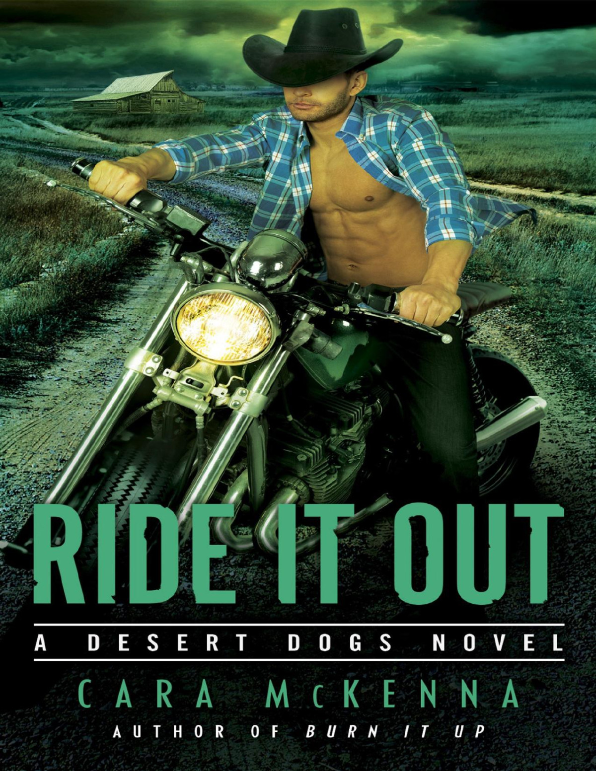 Ride It Out Cara Mckenna Mckenna Cara
