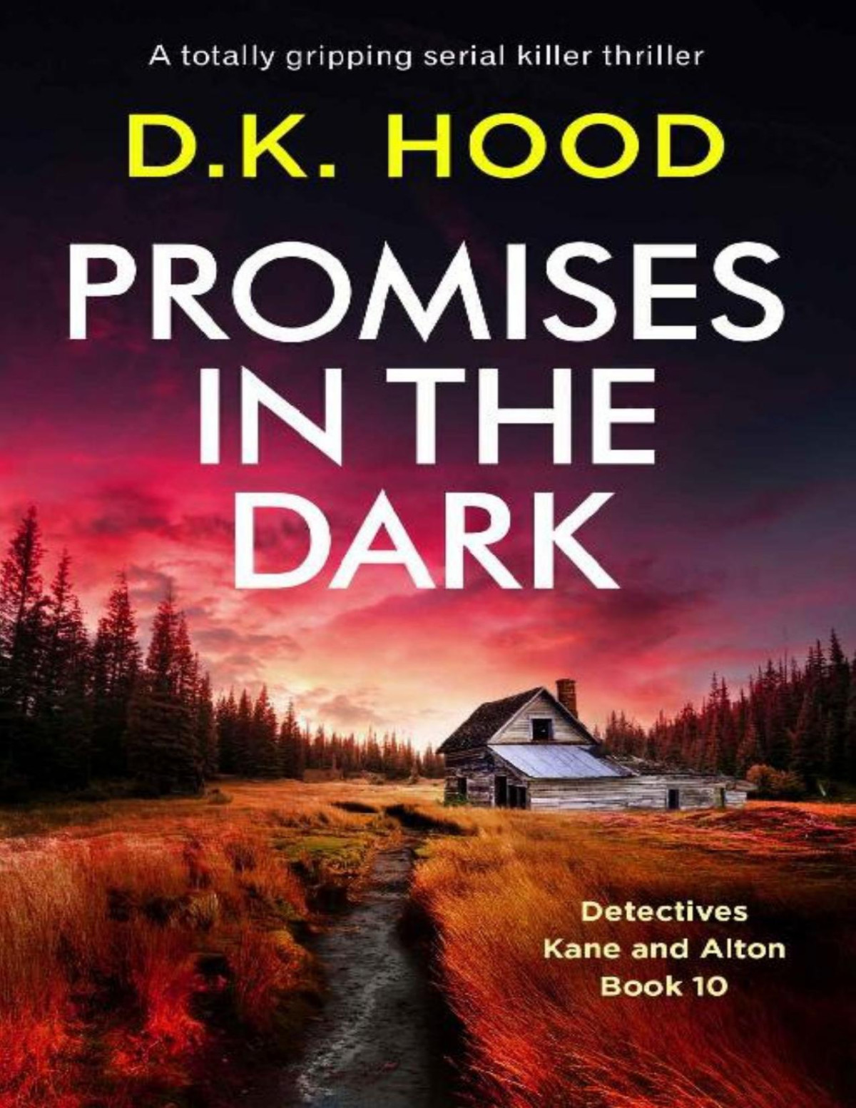 Promises In The Dark A Totally Gripping Serial Killer Thriller Detectives Kane And Alton Book 10 Dk Hood Hood