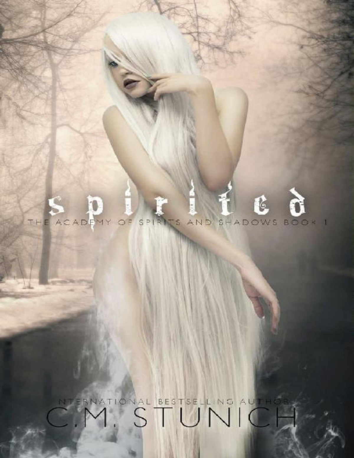 Spirited A Reverse Harem Fantasy Romance The Academy Of Spirits And Shadows Book 1 Cm Stunich Stunich