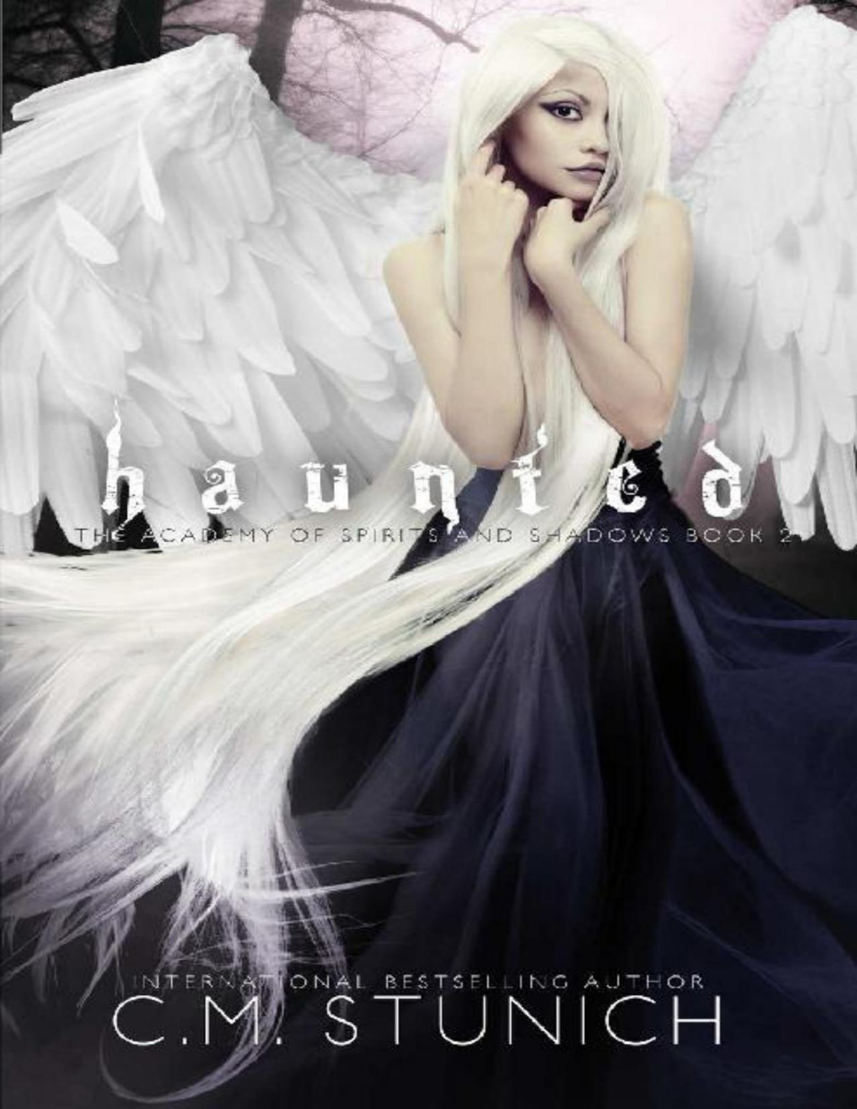 Haunted A Reverse Harem Fantasy Romance The Academy Of Spirits And Shadows Book 2 Cm Stunich Stunich