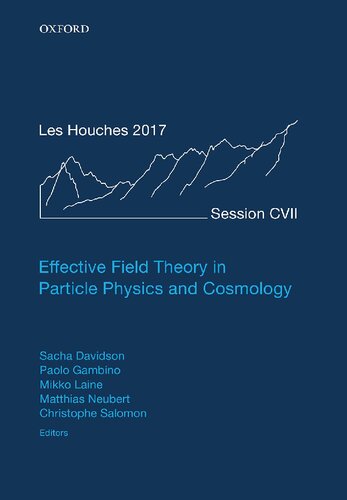 Effective Field Theory In Particle Physics And Cosmology Sacha Davidson Editor
