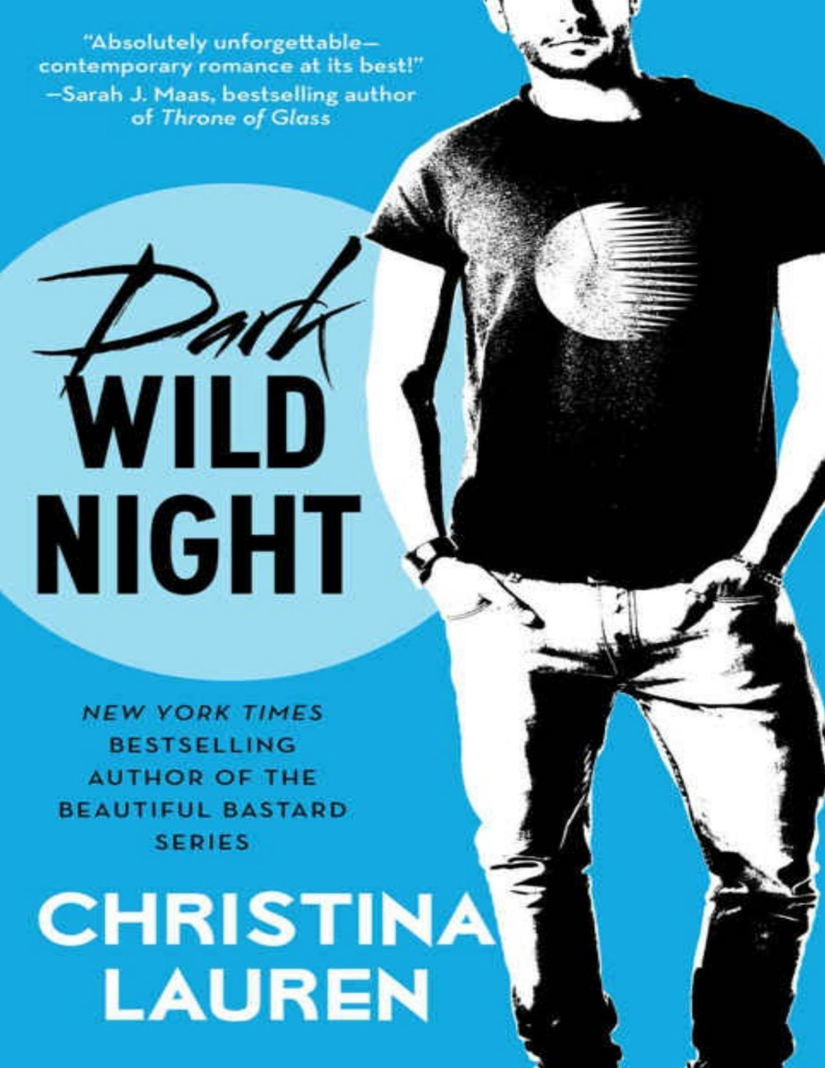 Dark Wild Night Christina Lauren Lauren Christina