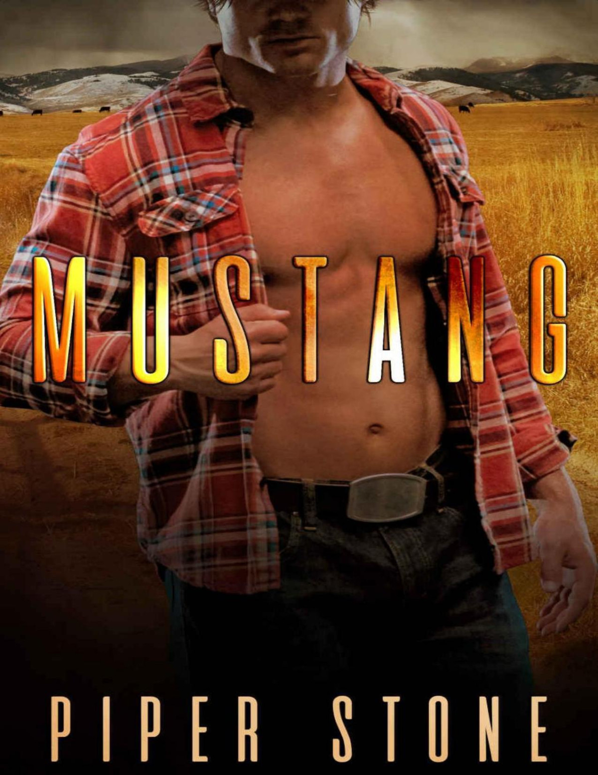 Mustang A Rough Romance Montana Bad Boys Book 3 Piper Stone Stone