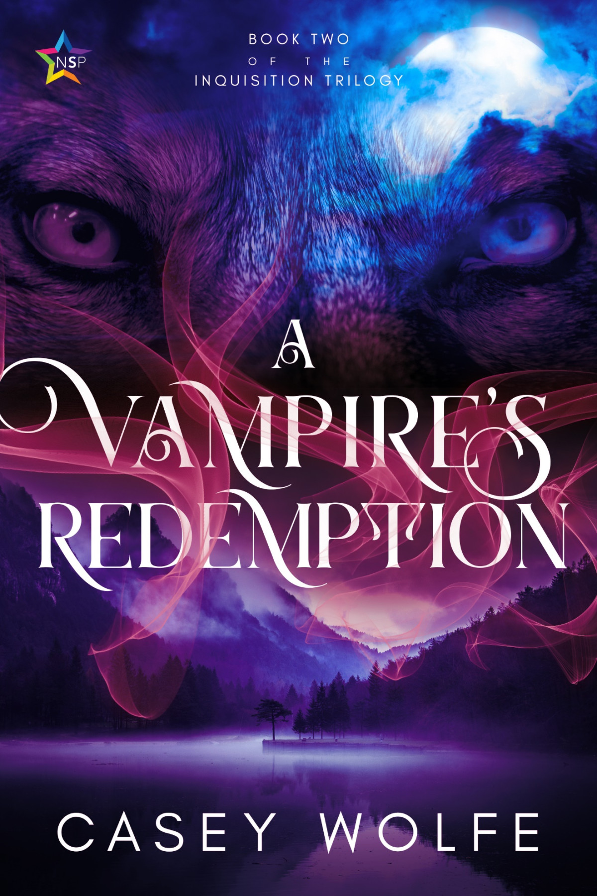 A Vampires Redemption 1st Edition Casey Wolfe Wolfe Casey