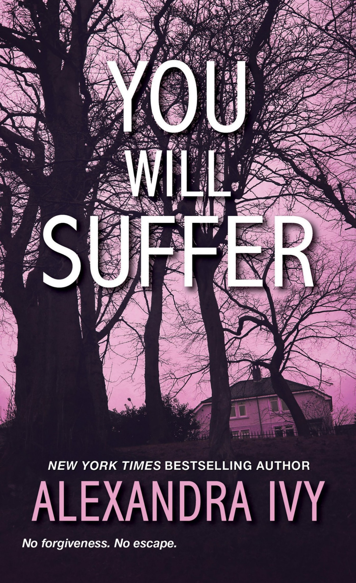 You Will Suffer 1st Edition Alexandra Ivy Ivy Alexandra