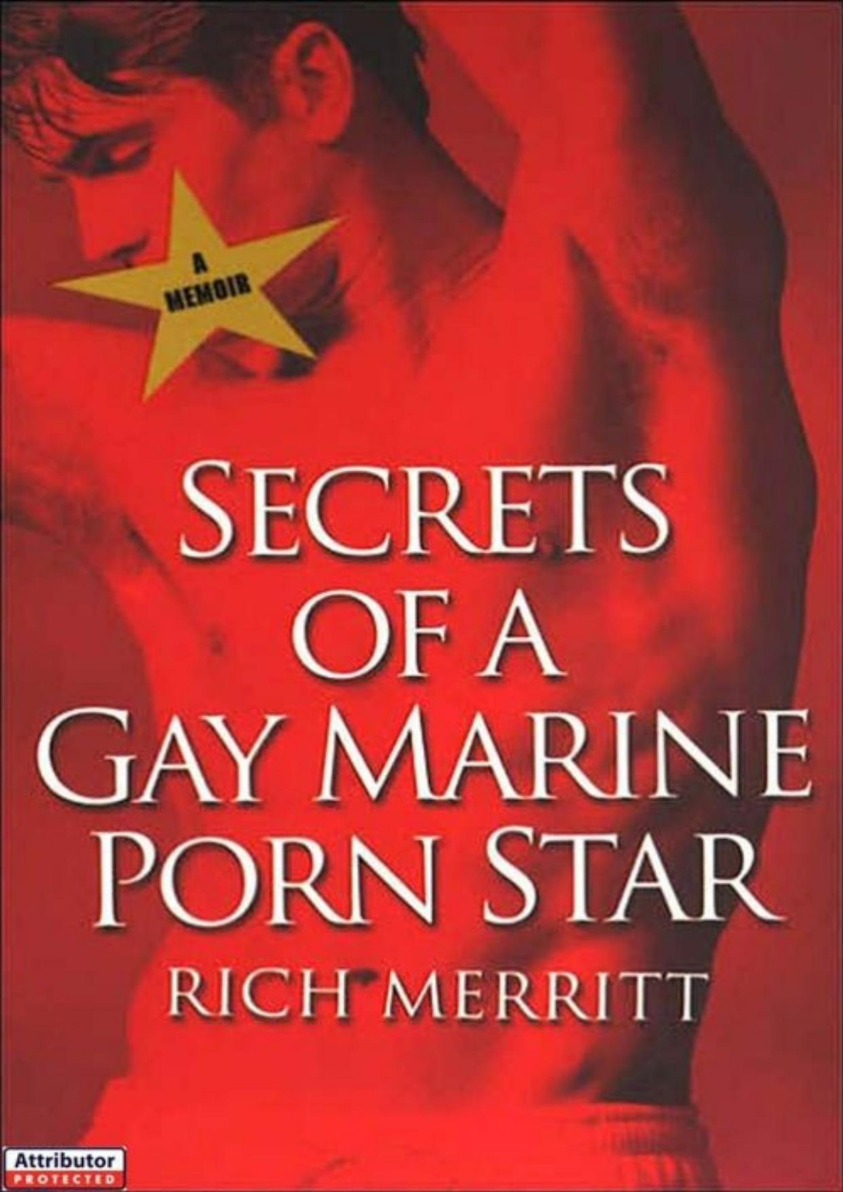 Secrets Of A Gay Marine Porn Star Rich Merritt