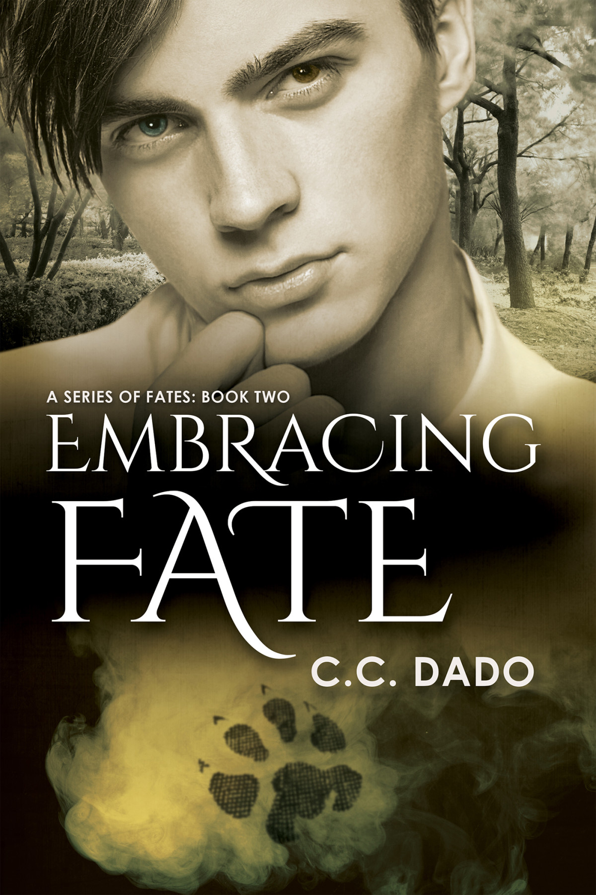 Embracing Fate C C Dado Dado C C