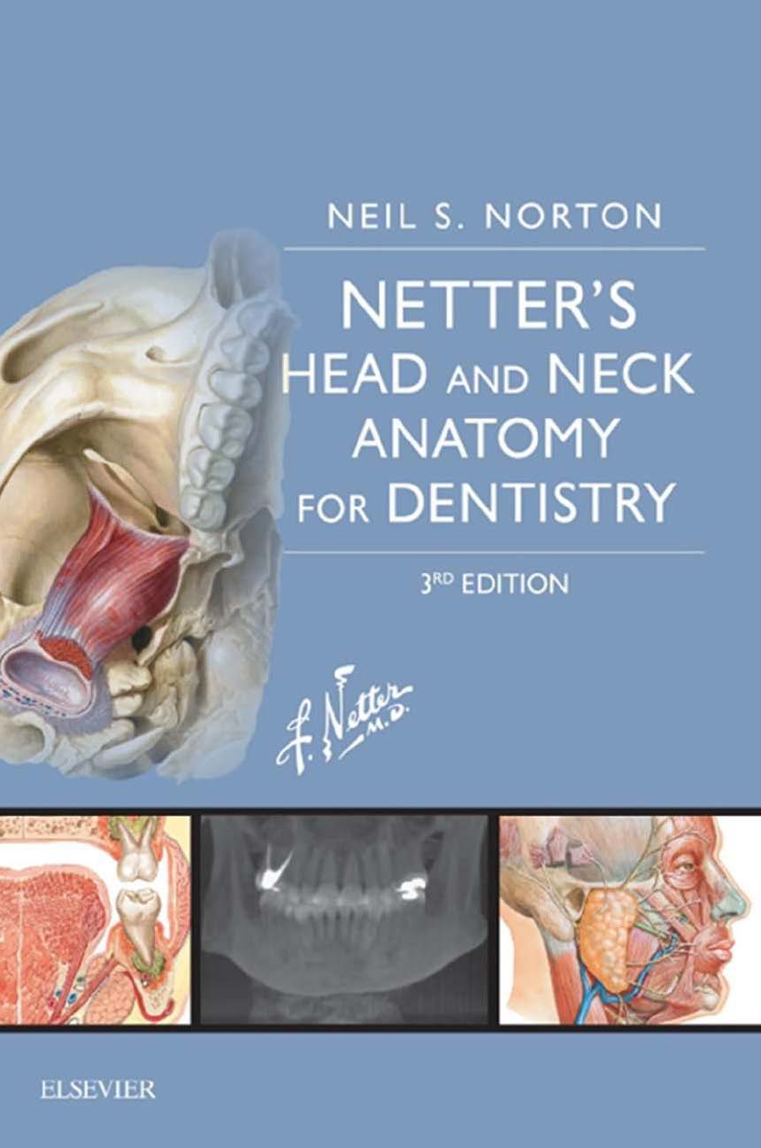 Netters Head And Neck Anatomy For Dentistry 3 3rd Edition Neil S Norton Phd