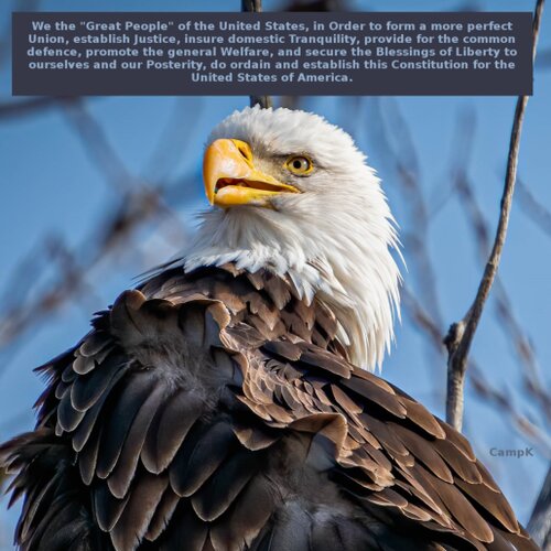 We The People 1st Edition Wanny Waxen