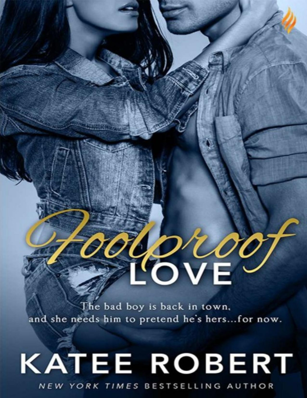 Foolproof Love Katee Robert Robert Katee