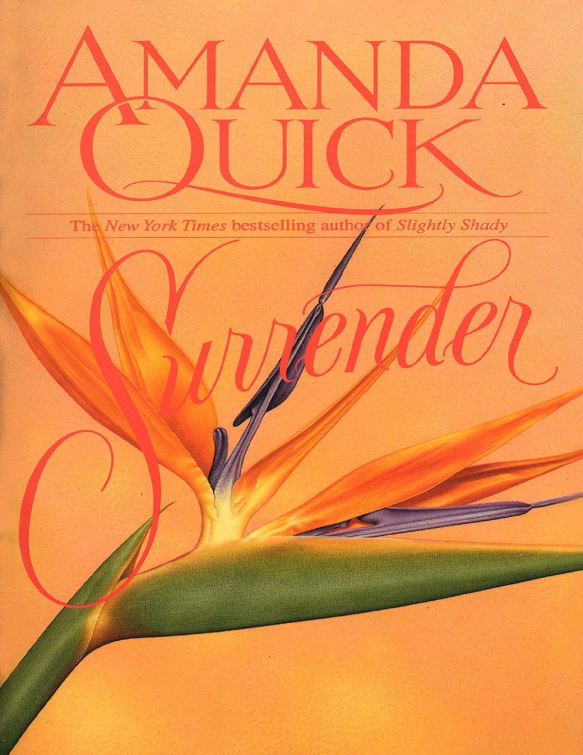 Surrender A Novel Amanda Quick