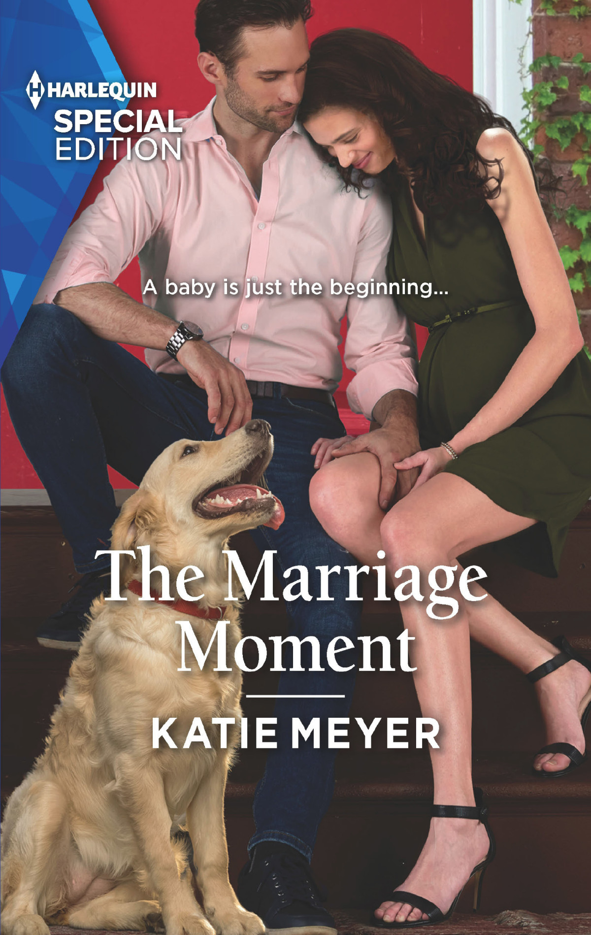 The Marriage Moment Paradise Animal Clinic 4 Katie Meyer Meyer