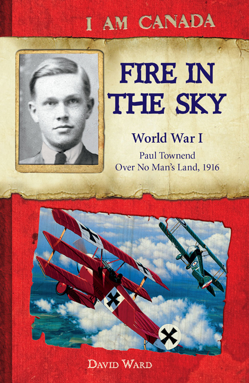 Fire In The Sky World War I Paul Townend Over No Mans Land 1916 David Ward Ward
