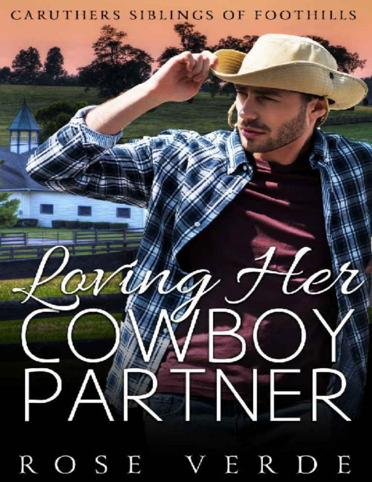 Loving Her Cowboy Partner Caruthers Siblings Of Foothills Book 5 Rose Verde Verde
