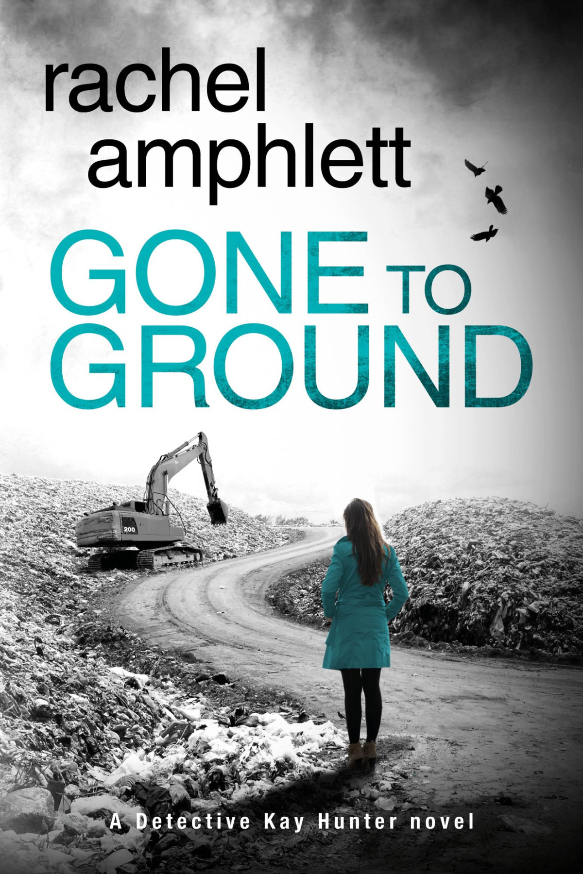Gone To Ground Rachel Amphlett Amphlett Rachel