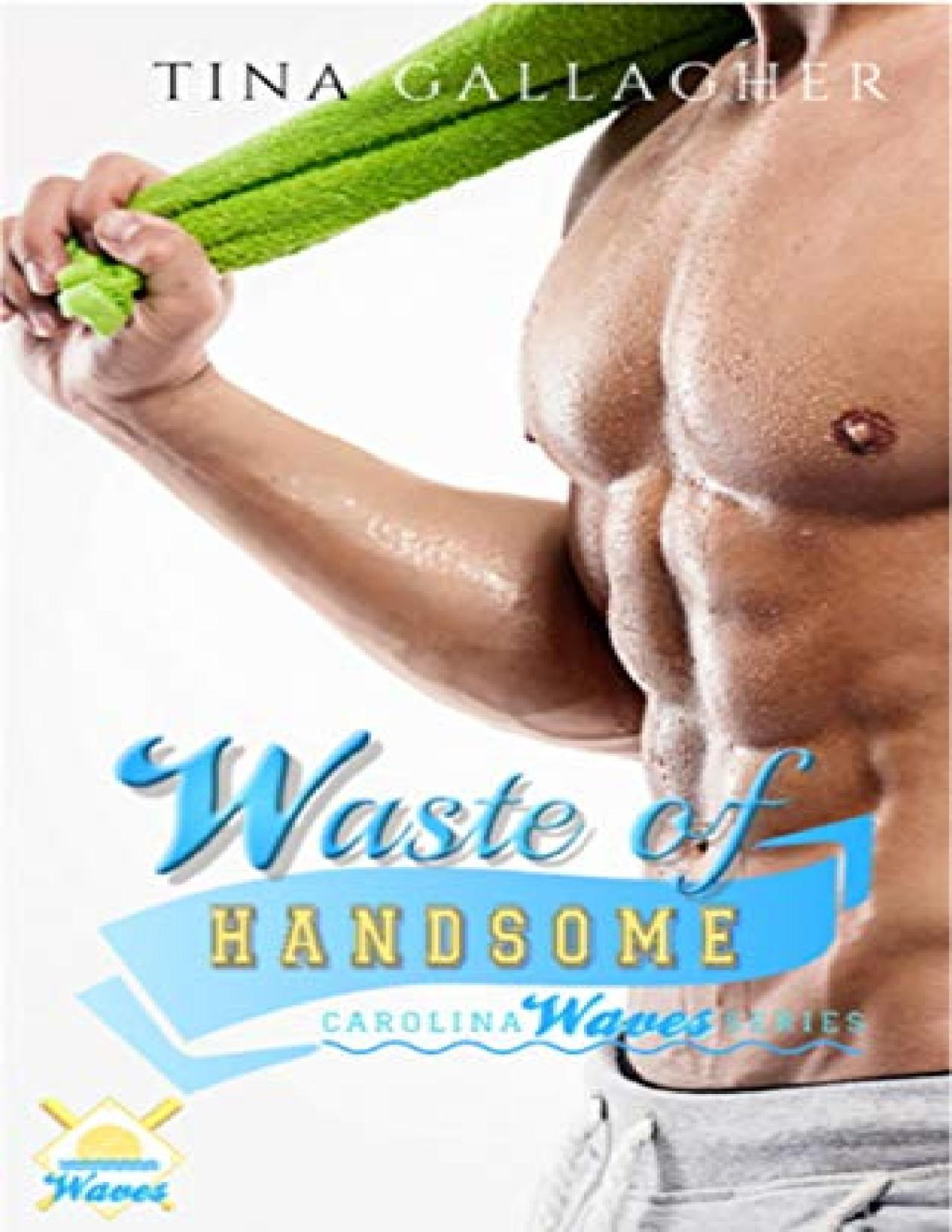 Waste Of Handsome Carolina Waves Series Book 2 Tina Gallagher Gallagher