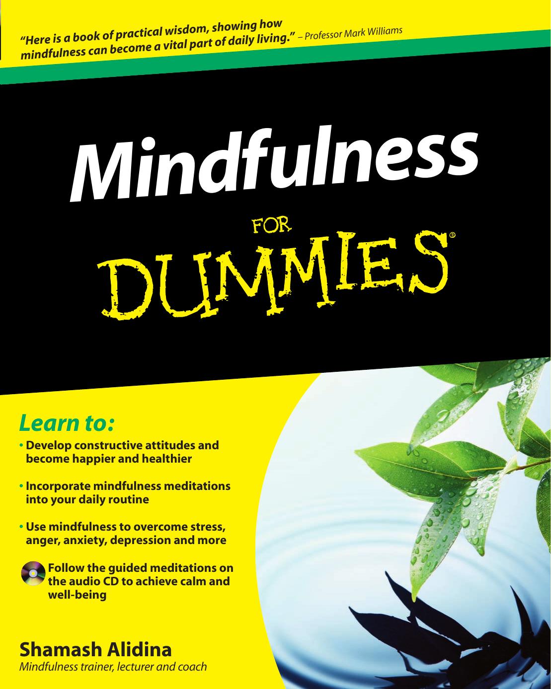 Mindfulness For Dummies Alidina Shamash