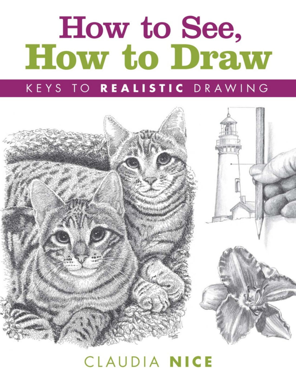 How To See How To Draw Keys To Realistic Drawing Claudia Nice