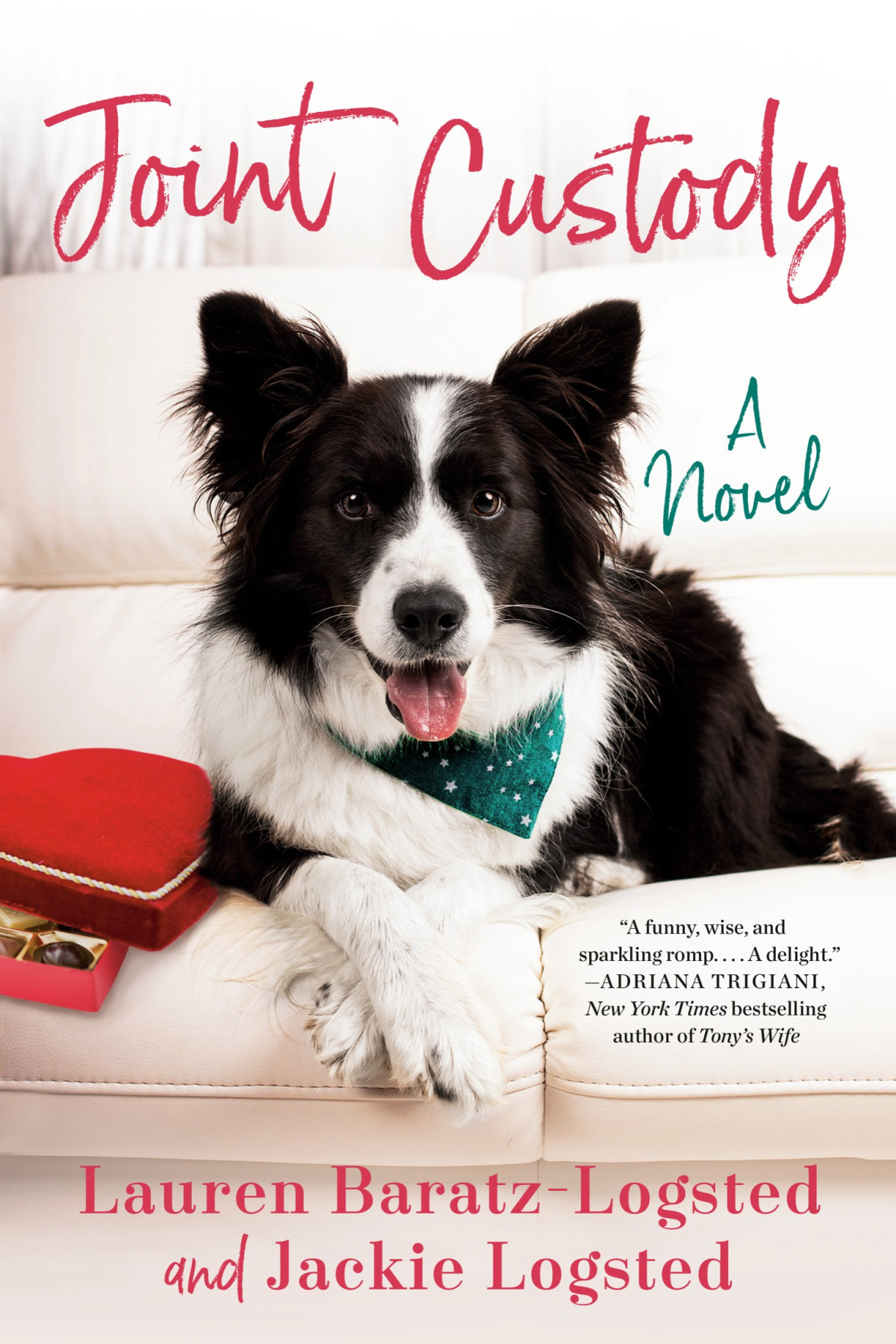 Joint Custody 1st Edition Lauren Baratzlogsted Jackie Logsted