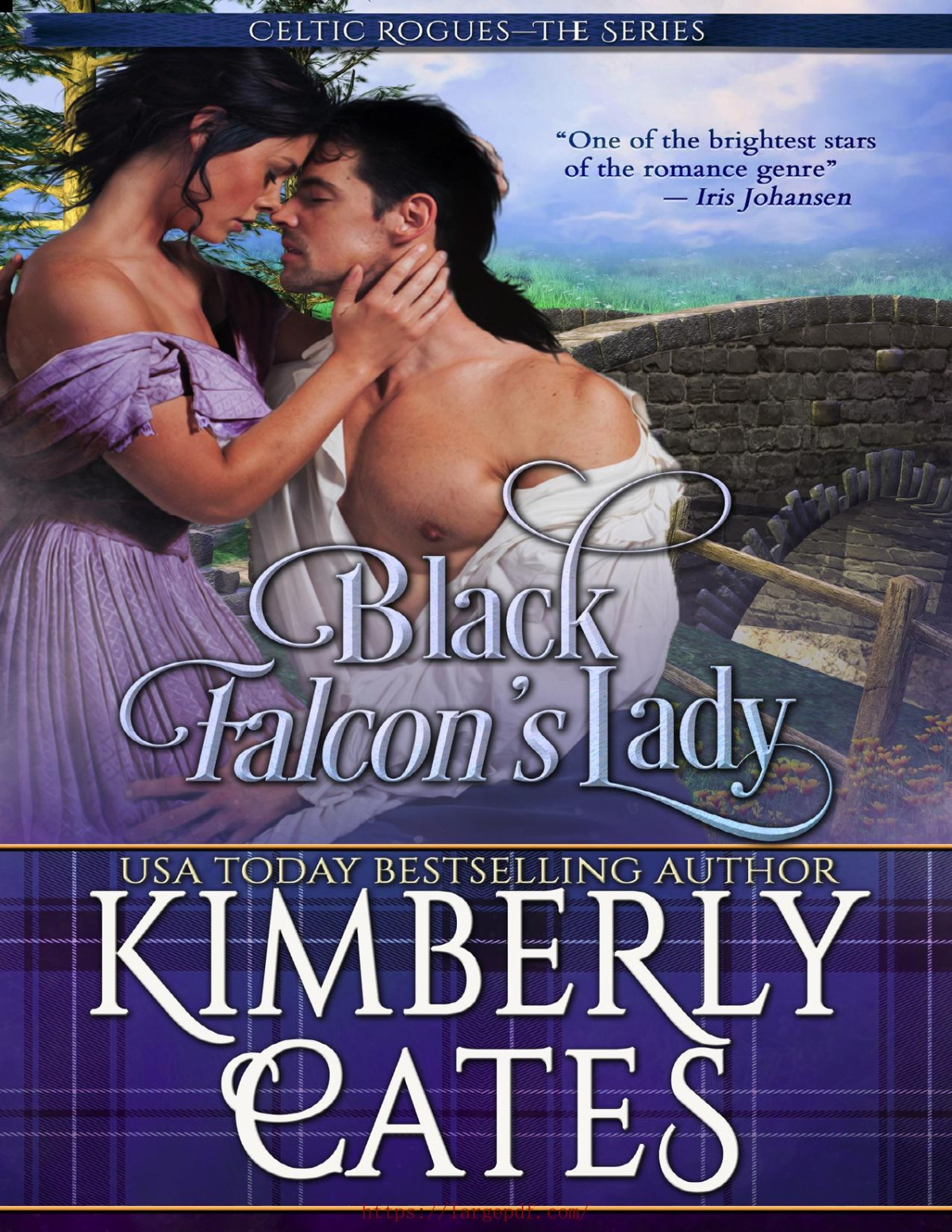 Black Falcons Lady Celtic Rogues Book 1 Cates Kimberly