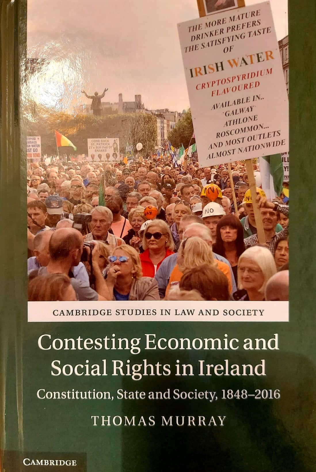 Contesting Economic And Social Rights In Ireland Thomas Murray