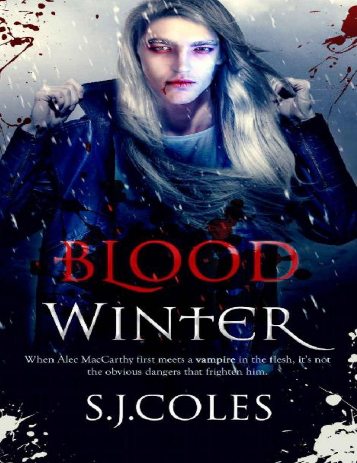 Blood Winter Sj Coles Coles Sj