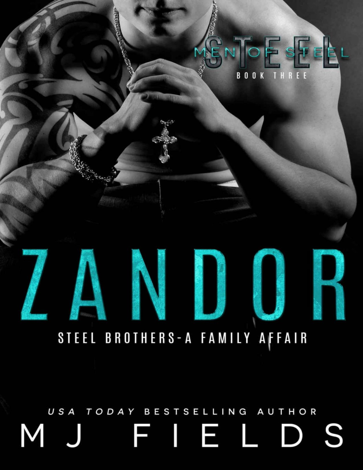 Zandor Steel Brothers A Family Affair A Men Of Steel Book 3 Mj Fields Fields
